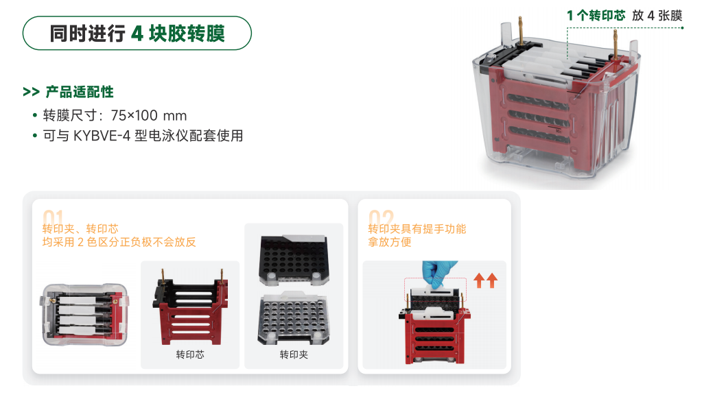 企业微信截图_17739009646108.png 企业微信截图_17739009646108.png