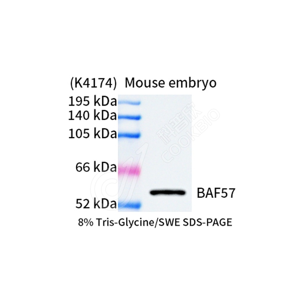 BAF57_WB